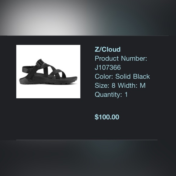 Chaco Z/CLOUD Sandals - Picture 4 of 5